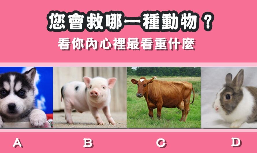 【您會救哪一種動物】看您內心裡最看重什麼
