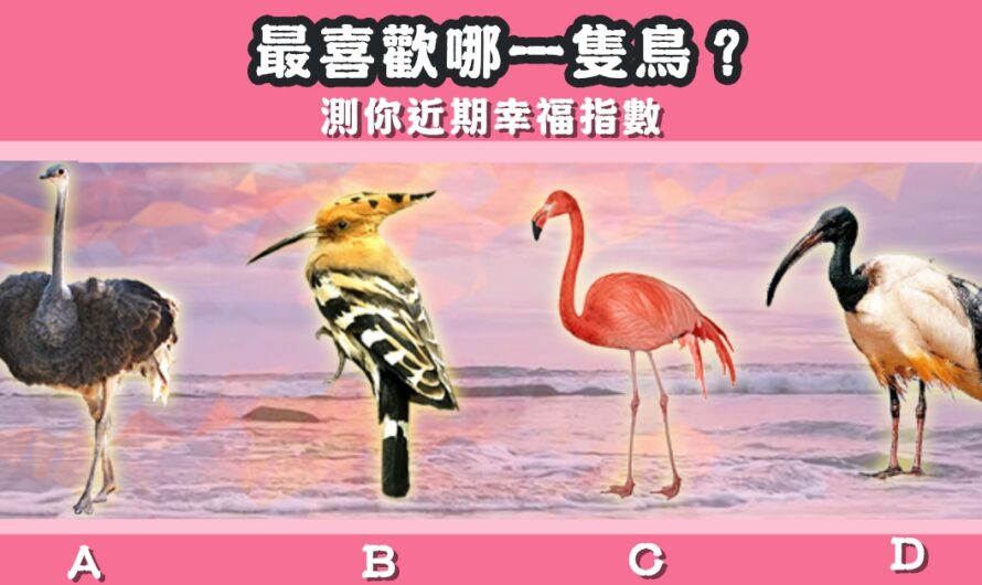 【最喜歡哪一隻鳥】測您近期幸福指數