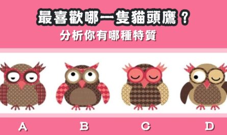 最喜歡，貓頭鷹，分析，哪種特質，性格，心理測驗，星座寶寶