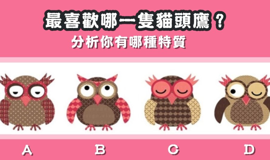 【最喜歡哪隻貓頭鷹】分析您有哪種特質