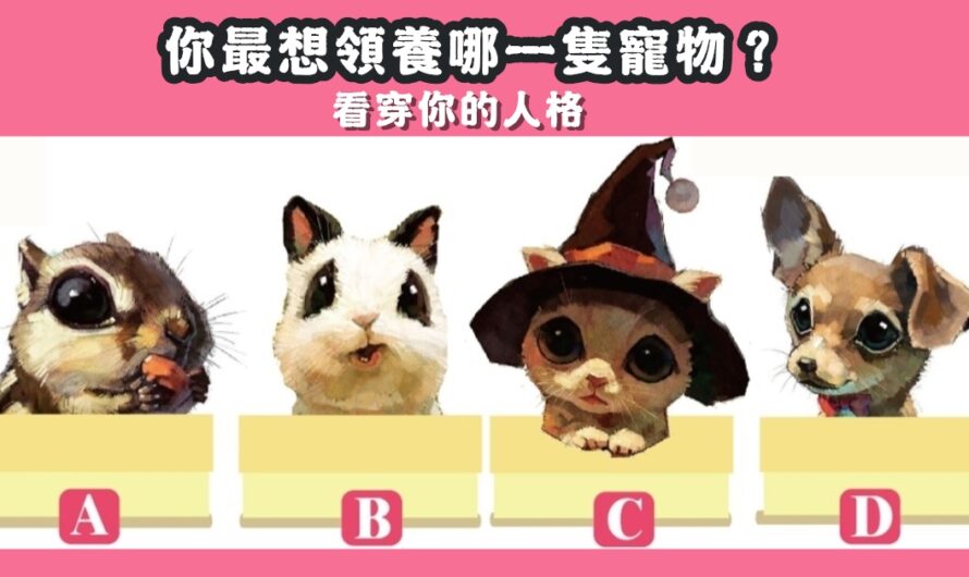 【最想領養哪隻寵物】看穿您的人格