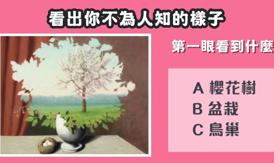 【第一眼看到什麼】分析不為人知的樣子