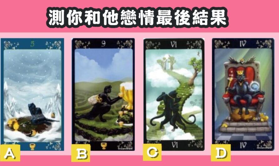 【愛情黑貓塔羅】測您和他戀情最後結果