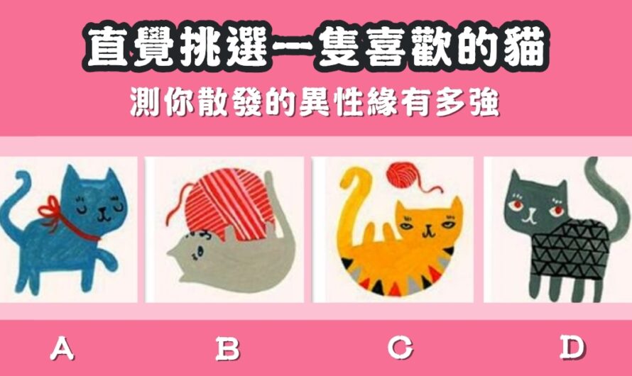 【直覺點選一隻貓】測您散發的男/女緣有多強