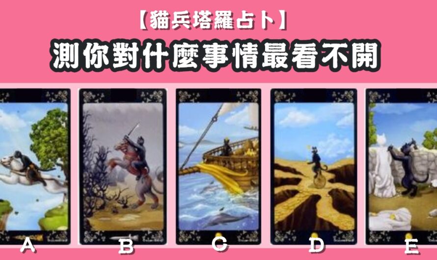 【貓兵塔羅占卜】測您對什麼事情最看不開