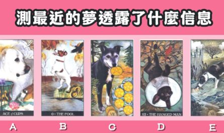 憑直覺，塔羅牌，最近，夢透露，信息，心理測驗，星座寶寶