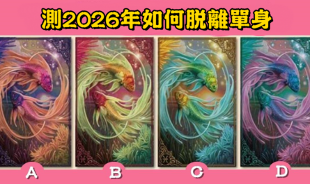 愛情，塔羅牌，2026年，脫離，單身，心理測驗，星座寶寶