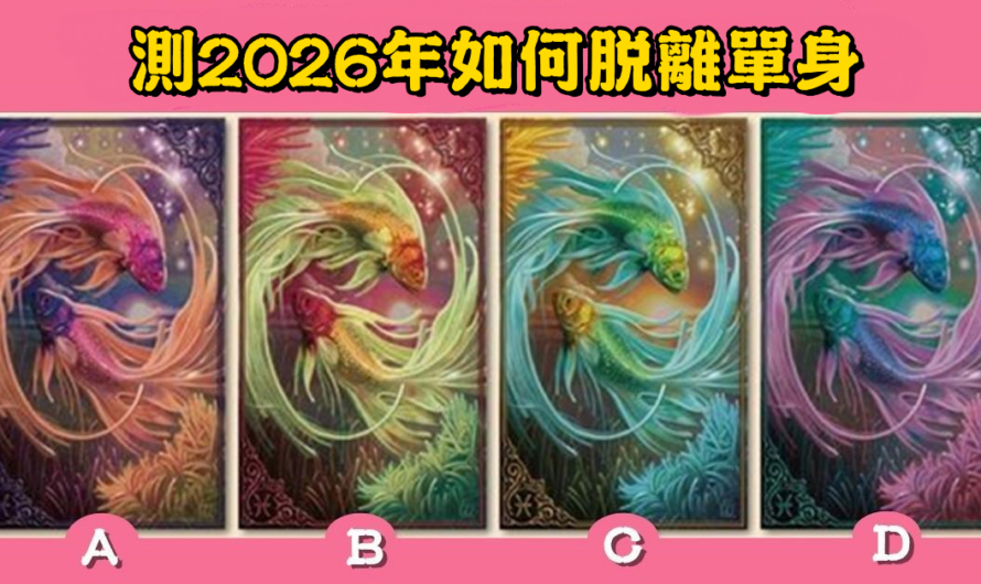 【愛情塔羅】測2026年如何脫離單身