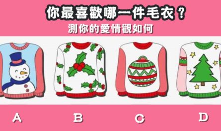 日本，超準心測，毛衣，愛情觀，心理測驗，星座寶寶