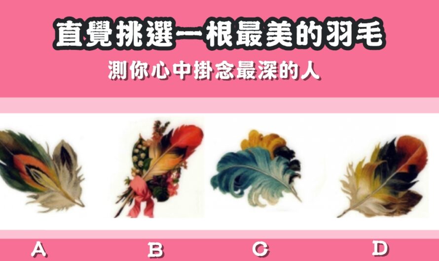 【神奇羽毛占卜】測心中掛念最深的人