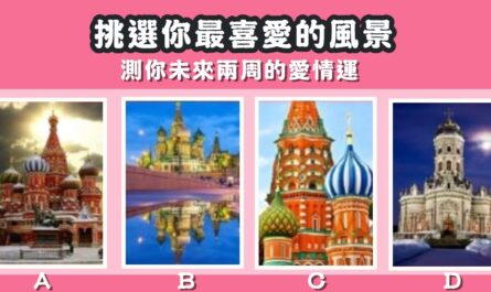 最喜歡，風景，未來，愛情運，心理測驗，星座寶寶