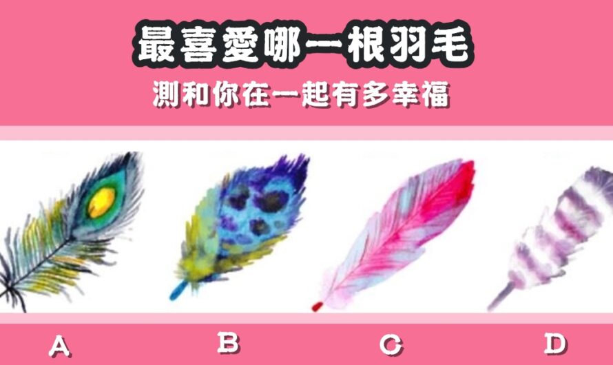 【最喜愛哪根羽毛】測和您在一起有多幸福