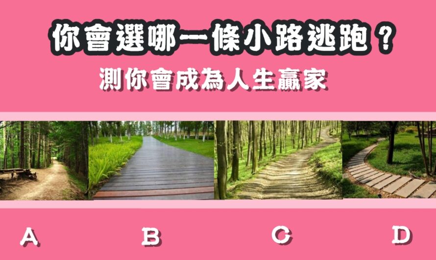 【您會選哪條小路逃跑】測您會成為人生贏家