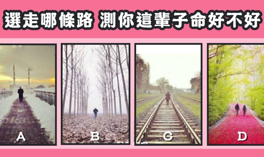 【您會走哪條路】測您這輩子命好不好