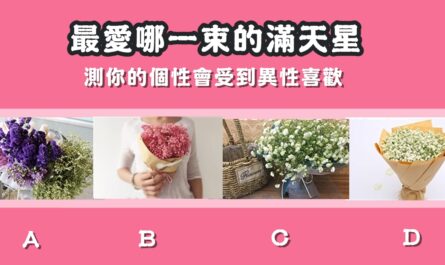 最喜歡，滿天星，個性，受到，異性，喜歡，心理測驗，星座寶寶