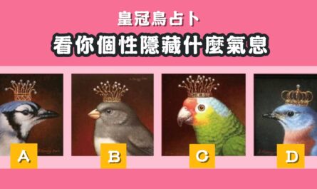皇冠鳥，占卜，個性，隱藏，氣息，心理測驗，星座寶寶