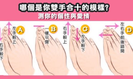 手相測驗，雙手合十，個性特質，愛情性格，心理測驗，星座寶寶