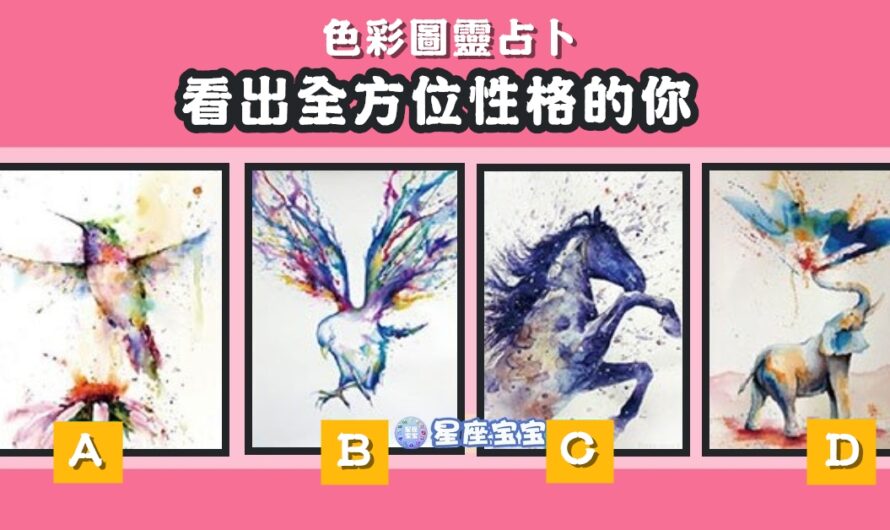 【色彩圖靈占卜】看出全方位性格的您