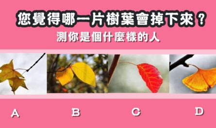 樹葉，掉下來，性格，什麼樣的人，心理測驗，星座寶寶