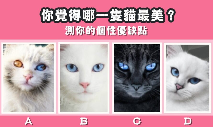 【準到讓您無言】測您的個性優缺點