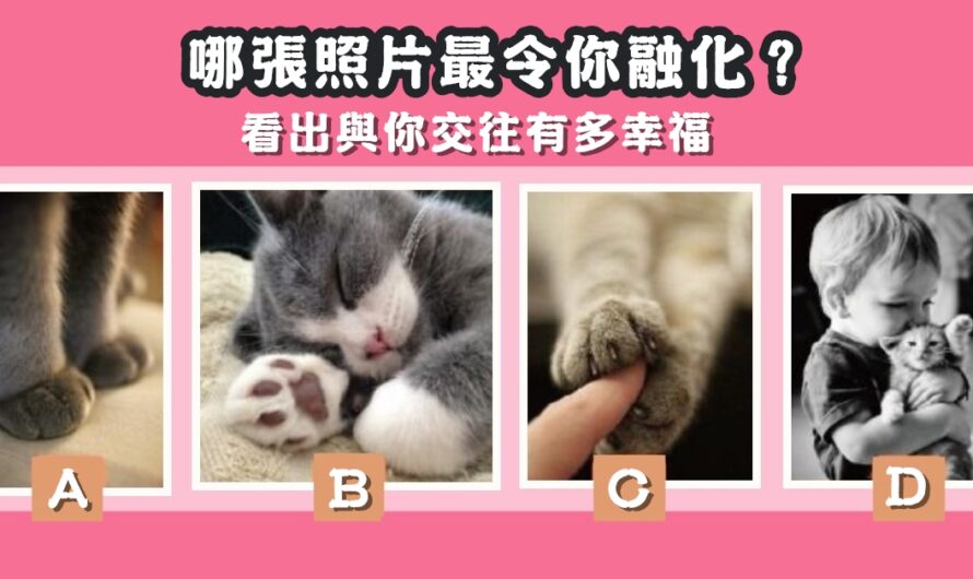 【哪張照片最令您融化】看與您交往有多幸福