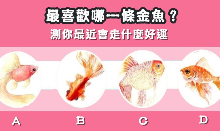 【金魚靈占】測最近會走什麼好運