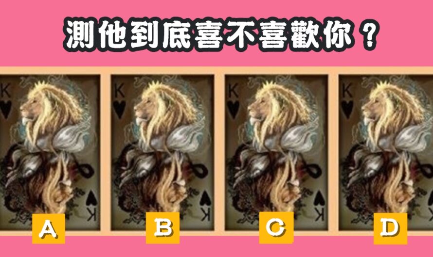 【獅子王塔羅占卜】測他到底喜不喜歡您