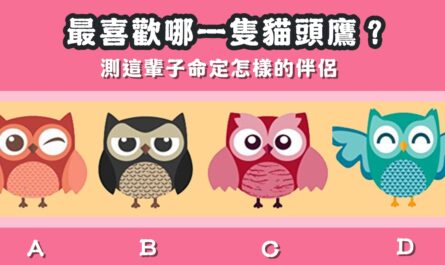 最喜歡，貓頭鷹，這輩子，命定，伴侶，心理測驗，星座寶寶