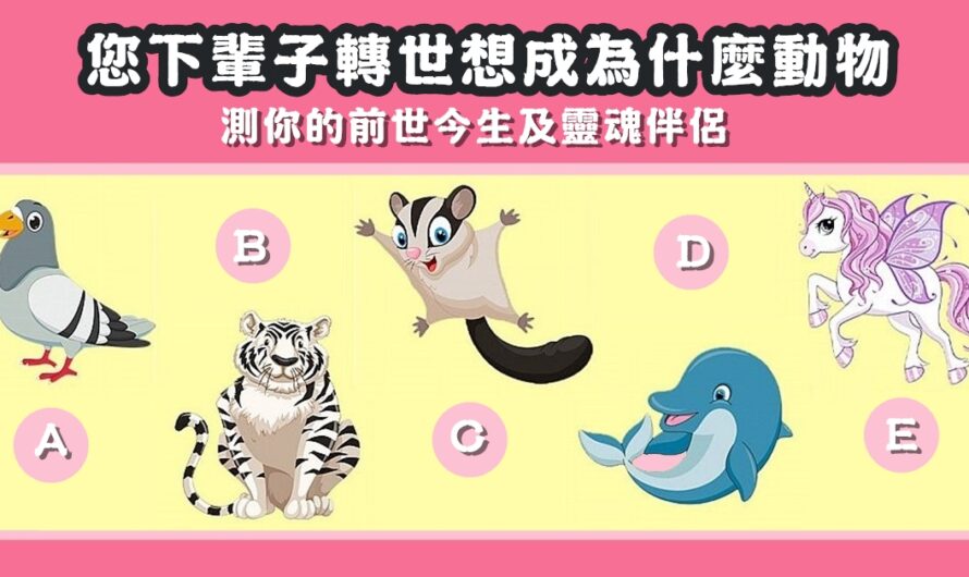 【下輩子轉世想成為什麼動物】測您的前世今生及靈魂伴侶