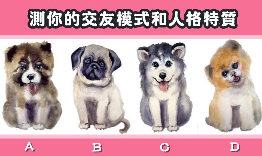 【日網超準測驗】測您的交友模式和人格特質