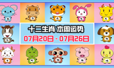 12生肖，十二生肖，本週運程，本週運勢，整體運勢，愛情運勢，工作運勢，財運運勢，星座宝宝