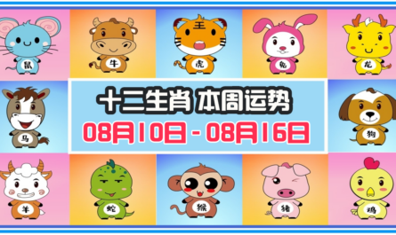 12生肖，十二生肖，本週運程，本週運勢，整體運勢，愛情運勢，工作運勢，財運運勢，星座宝宝