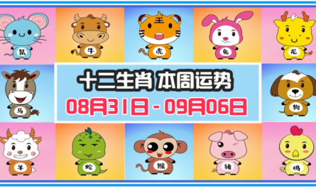12生肖，十二生肖，本週運程，本週運勢，整體運勢，愛情運勢，工作運勢，財運運勢，星座宝宝