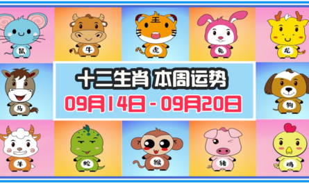 12生肖，十二生肖，本週運程，本週運勢，整體運勢，愛情運勢，工作運勢，財運運勢，星座宝宝