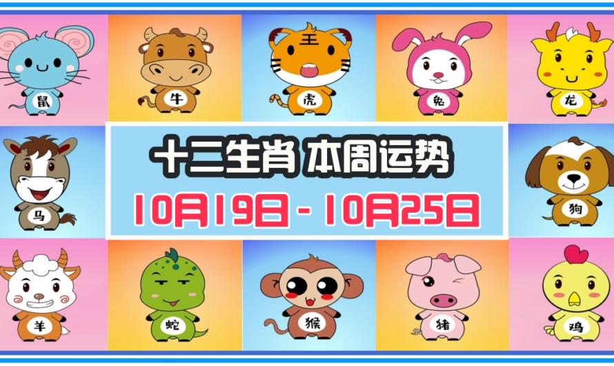 12生肖每周運勢 2026年10月19日 至 10月25日